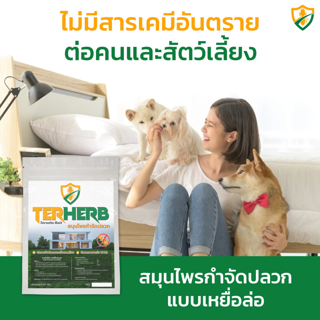 เหยื่อกำจัดปลวก TERHERB เหยื่อกำจัดปลวก TERHERB